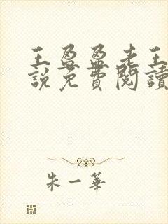 王盈盈老王的小说免费阅读全文