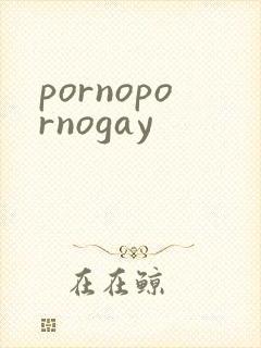 pornopornogay