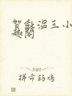 贺敛温玉小说笔趣阁