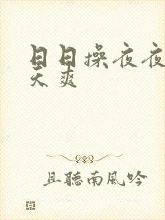 日日操夜夜摸天天爽