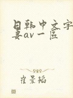 日韩中文字幕人妻av一区