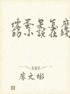 坏蛋是怎么练成的小说在线阅读