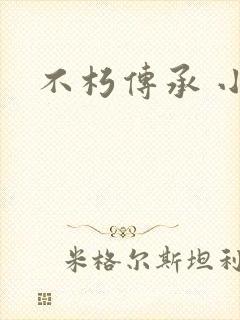 不朽传承 小说封面