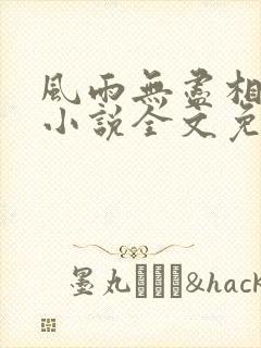 风雨无尽相思情小说全文免费阅读封面