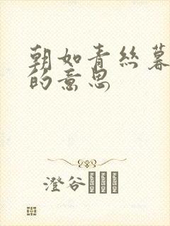 朝如青丝暮如雪的意思