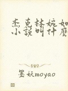 杰克林婉如顾芸小说叫什么名字啊