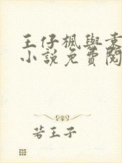 王仔枫与袁雯洁小说免费阅读