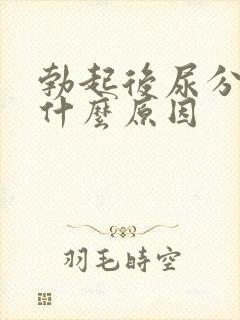 勃起后尿分叉是什么原因