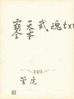 霸天武魂txt全本