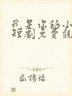 我是你的小娘子短剧免费观看