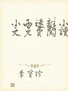 小西远离小说全文免费阅读