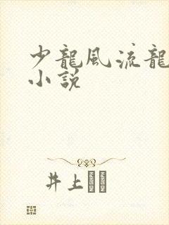 少龙风流龙剑飞小说