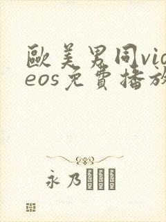 欧美男同videos免费播放