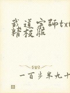 武道宗师txt精校版