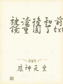 被渣后和前夫破镜重圆了txt