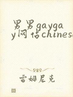 男男gaygay网站chinese封面
