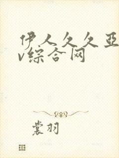 伊人久久亚洲av综合网