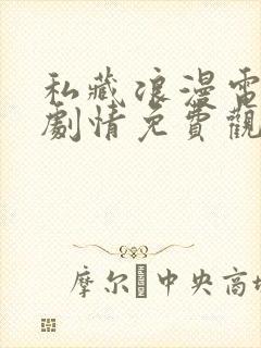 私藏浪漫电视剧剧情免费观看全集封面