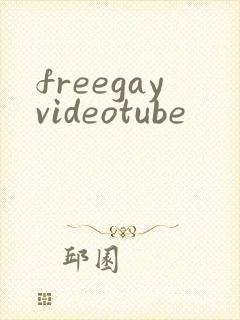 freegayvideotube