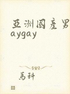 亚洲国产男同gaygay