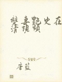 双妻艳史在线高清视频