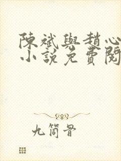 陈斌与赵心媚的小说免费阅读封面