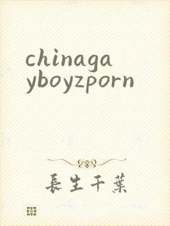 chinagayboyzporn封面