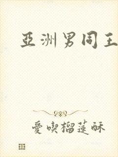 亚洲男同王伦宝