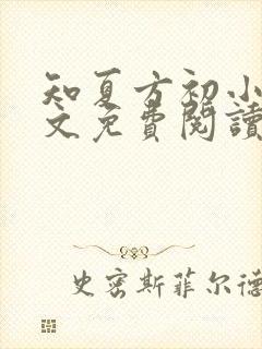 知夏方初小说全文免费阅读最新章节封面