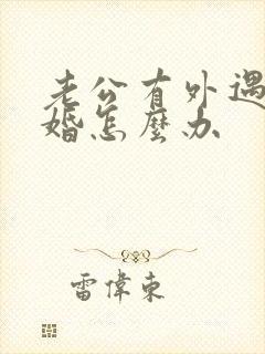 老公有外遇提离婚怎么办