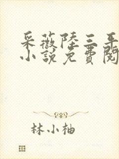 采薇陆三平养父小说免费阅读