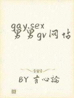 gay.sex男男gv网站