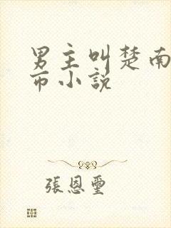 男主叫楚南的都市小说封面