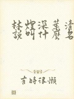 林煜深叶清瑶小说叫什么名字