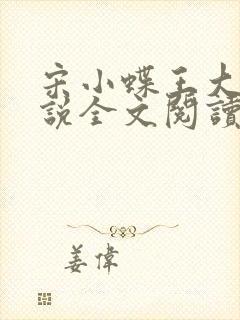 宋小蝶王大爷小说全文阅读