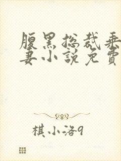 腹黑总裁乘胜追妻小说免费阅读