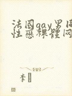 法国gay男同性恋裸体网址封面
