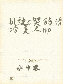 bl被c哭的清冷美人np封面