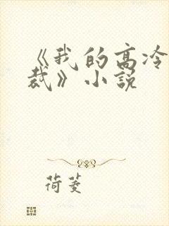 《我的高冷女总裁》小说