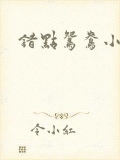 错点鸳鸯小说