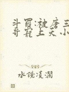 斗罗:被唐三哥哥宠上天小说封面