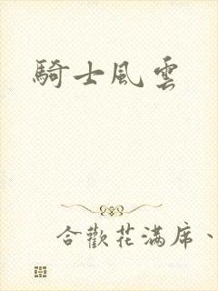 骑士风云