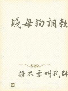 贱母狗调教文