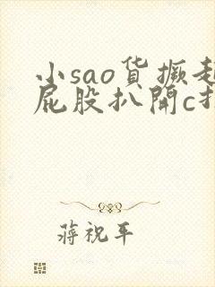 小sao货撅起屁股扒开c打小说