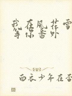 我在风花雪月里等你番外封面