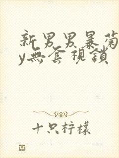 新男男暴菊gay无套视锁