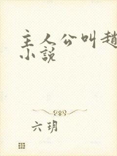 主人公叫赵青的小说