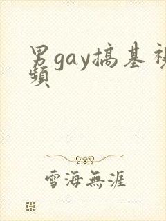 男gay搞基视频