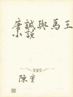 唐诚与马玉婷的小说