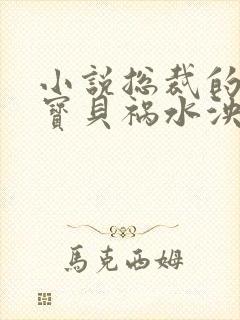 小说总裁的私有宝贝祸水泱泱